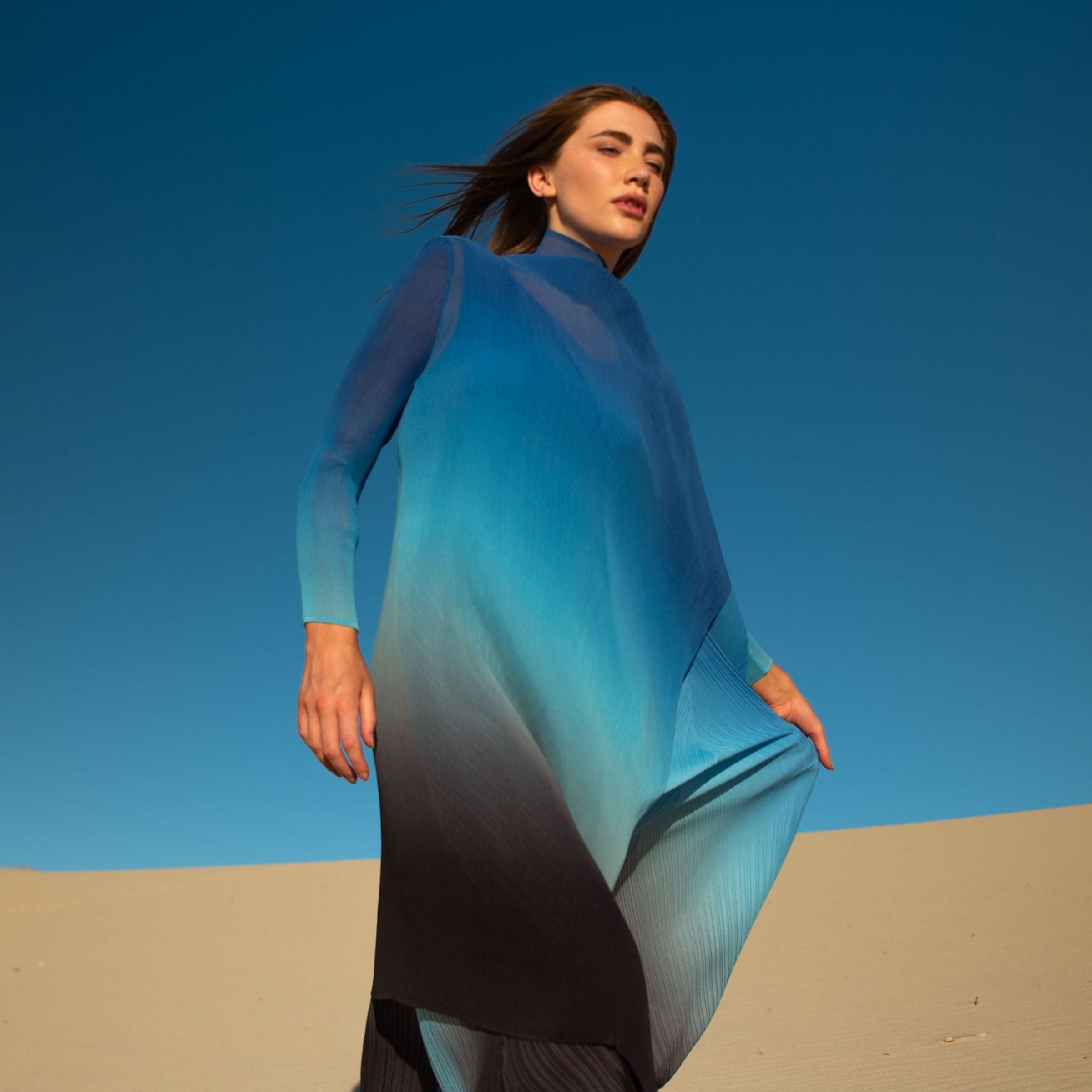 Collare Coat - Ombre AW26