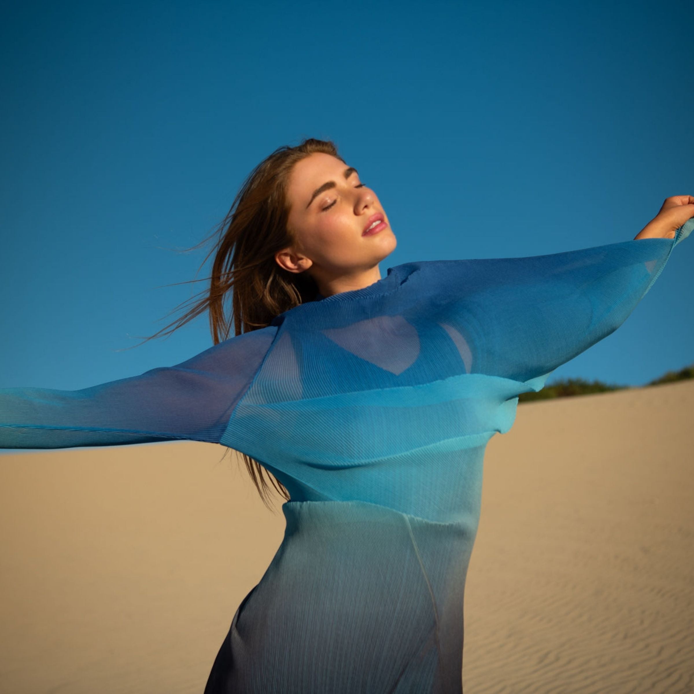 Collare Coat - Ombre AW26