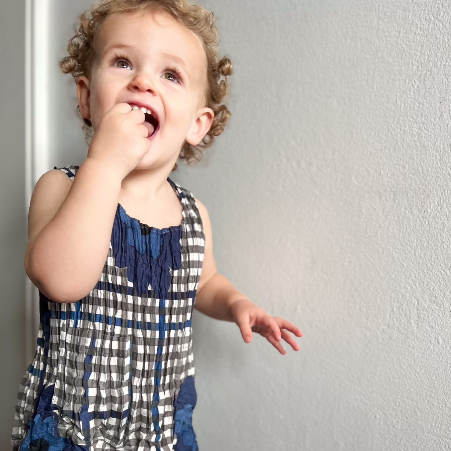 Mini Smash Pocket Dress | Indigo Flower Spot Check