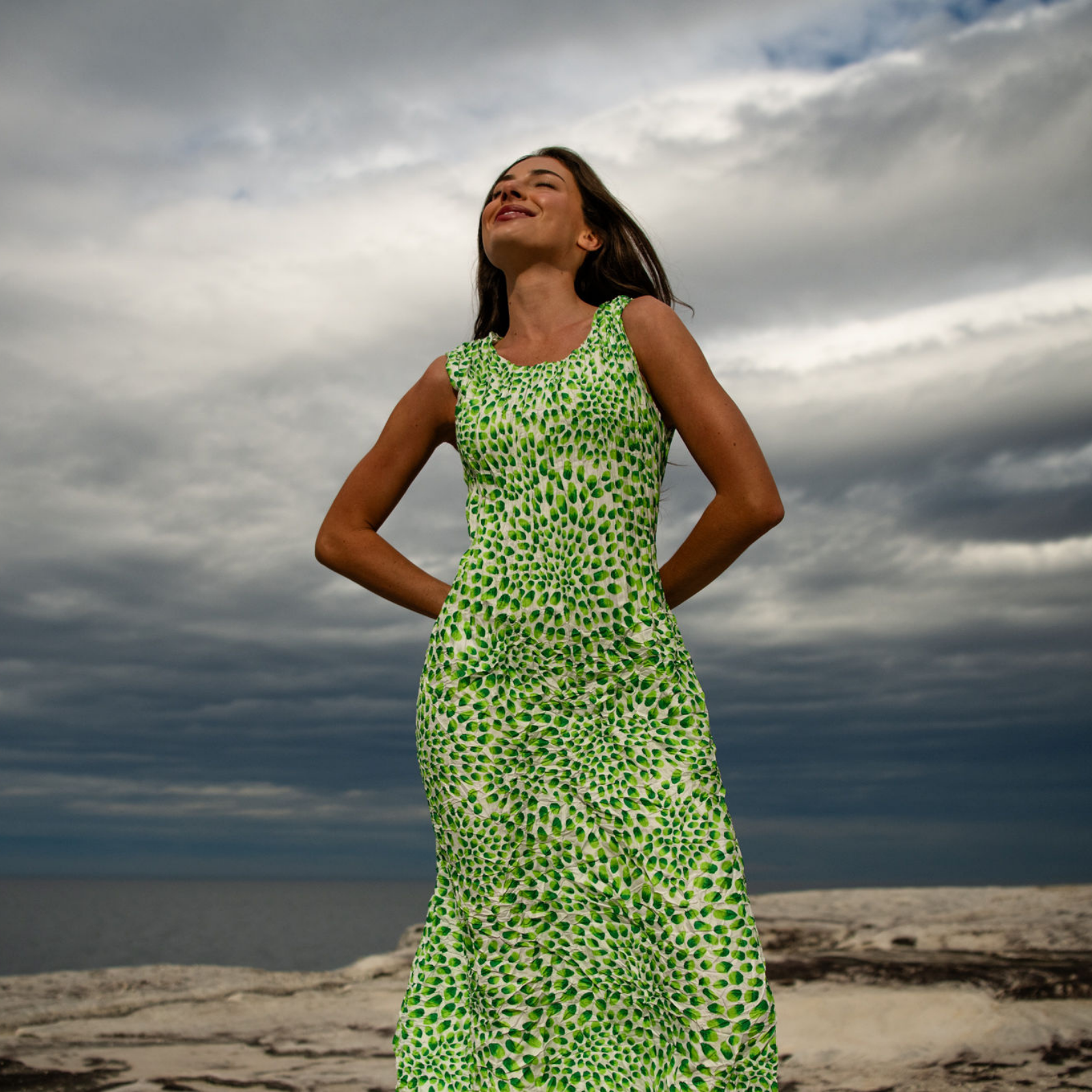Pippi Smash Dress - Prints