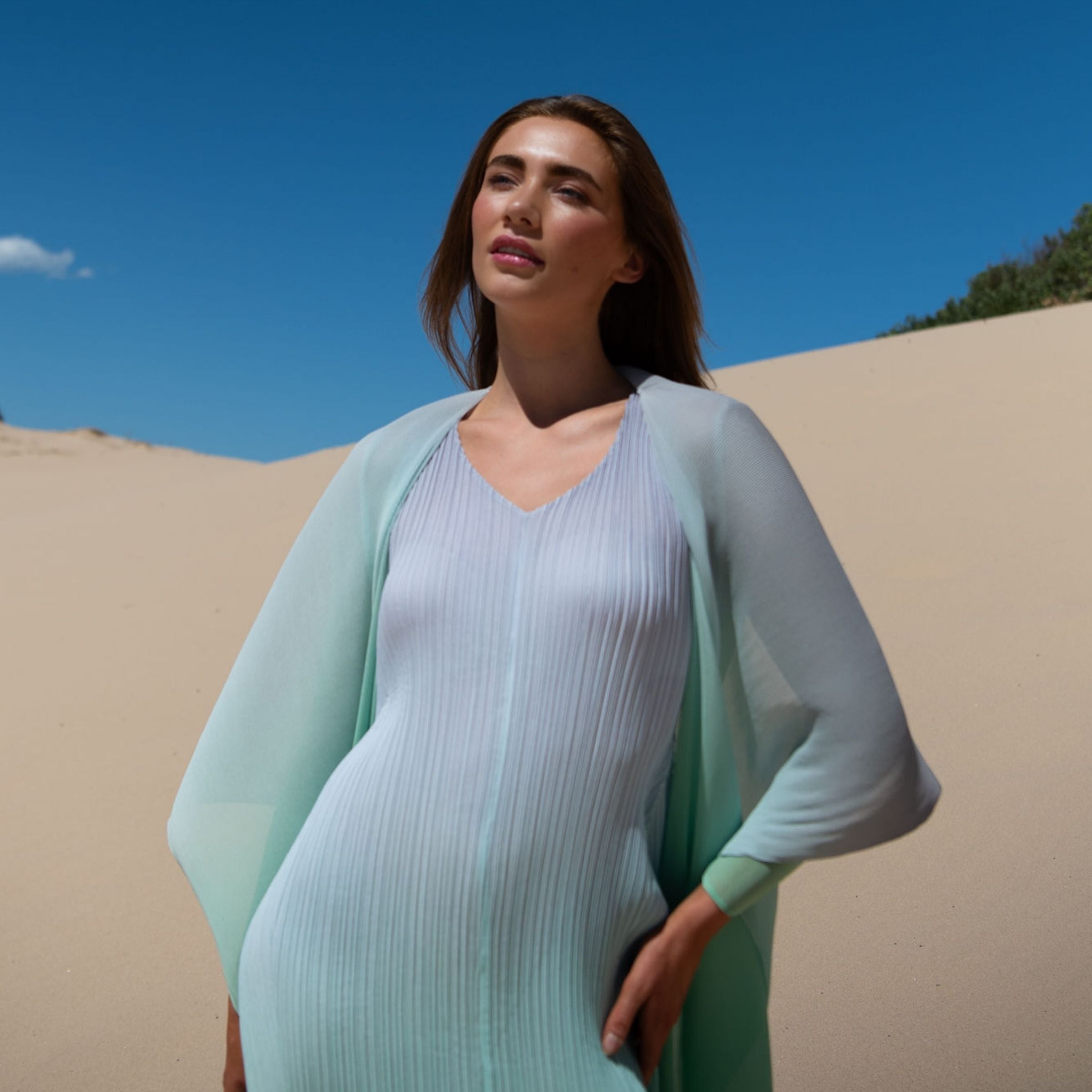 Long Estrella Dress - Ombre | AW26